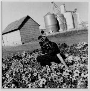 Image description is not available for 2000.004